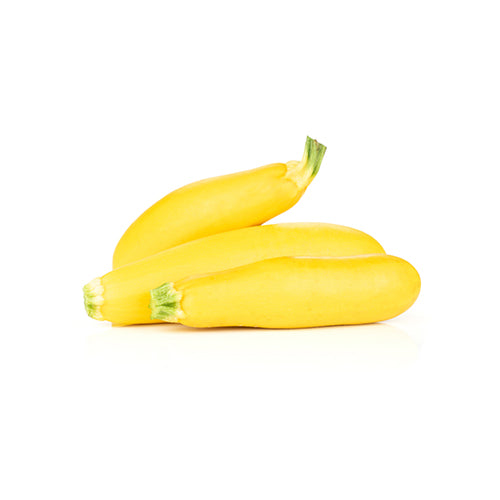 Wholesale Local Farm Summer Squash Local- Bulk