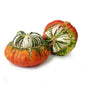 Wholesale Dix Farms Turban Squash- Bulk