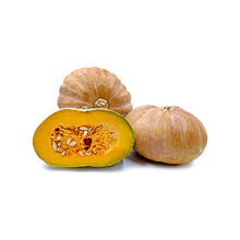 Wholesale Dix Farms Calabaza Squash 30lb- Bulk