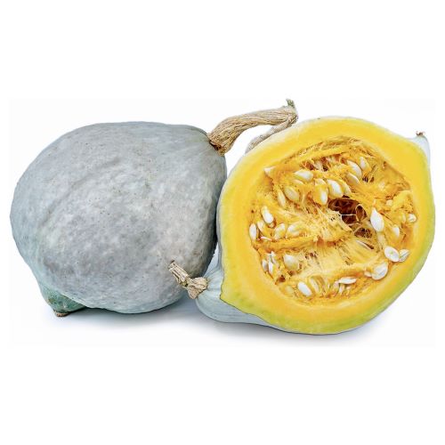 Wholesale Dix Farms Baby Blue Hubbard Squash- Bulk