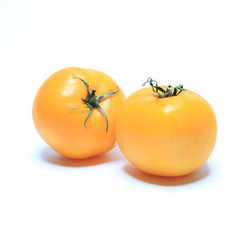 Wholesale Dix Farms Yellow Vine-Ripened Tomatoes 10lb- Bulk
