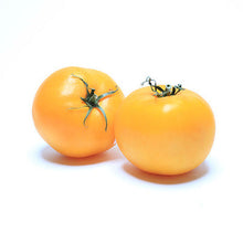 Wholesale Dix Farms Yellow Vine-Ripened Tomatoes 10lb- Bulk