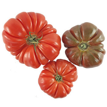 Wholesale Dix Farms Large Heirloom Tomatoes 10lb- Bulk