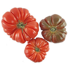 Wholesale Dix Farms Large Heirloom Tomatoes 10lb- Bulk