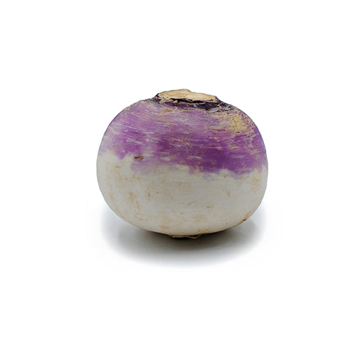 Wholesale Dix Farms Purple Top Turnips 25lb- Bulk