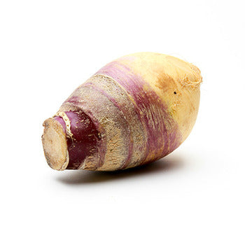 Wholesale Dix Farms Yellow Rutabagas- Bulk