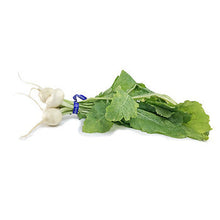 Wholesale Dix Farms Bunched Baby White Turnips- Bulk
