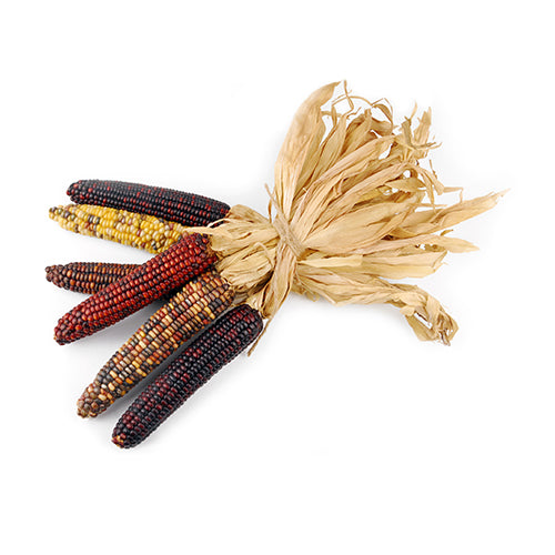 Wholesale Local Farm Local Mini Indian Corn- Bulk
