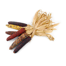 Wholesale Local Farm Local Mini Indian Corn- Bulk