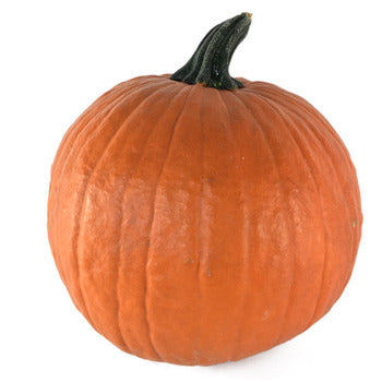 Wholesale Local Farm Medium Pumpkins Local- Bulk