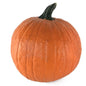 Wholesale Local Farm Medium Pumpkins Local- Bulk