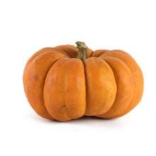 Wholesale Local Farm Mini Orange Pumpkins Local- Bulk