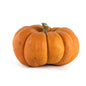 Wholesale Local Farm Mini Orange Pumpkins Local- Bulk