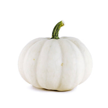 Wholesale Local Farm Mini White Pumpkins Local- Bulk