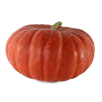 Wholesale Local Farm Cinderella Pumpkins Local- Bulk