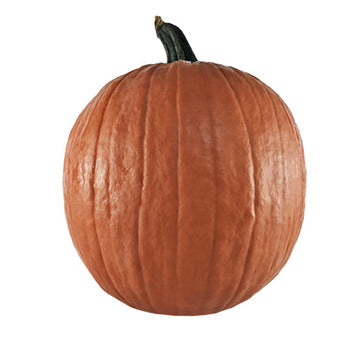 Wholesale Local Farm Large Pumpkins- Bulk