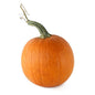 Wholesale Local Farm Sugar Pumpkins Local- Bulk