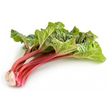Wholesale Dix Farms Rhubarb 20lb- Bulk