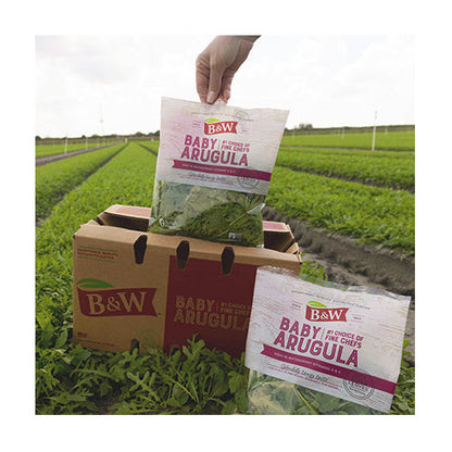 Wholesale B & W Baby Arugula 1.5lb- Bulk