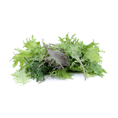 Wholesale Dix Farms Organic Mixed Baby Kale Greens 1.5lb- Bulk