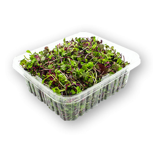 Wholesale Flavour Fields Local Rainbow Microgreens 8oz- Bulk