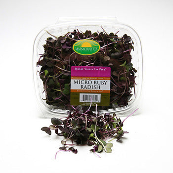 Wholesale Dix Farms Fresh Micro Ruby Radish 4oz- Bulk