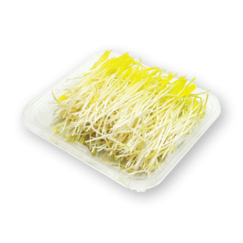 Wholesale Dix Farms Popcorn Shoots 4oz- Bulk