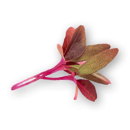 Wholesale Dix Farms Red Amaranth Micro Greens 4oz- Bulk