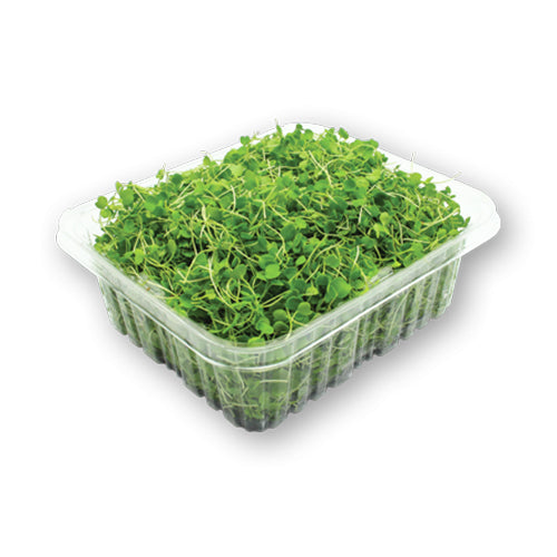 Wholesale Flavour Fields Asian Mix Micro Greens 4oz- Bulk