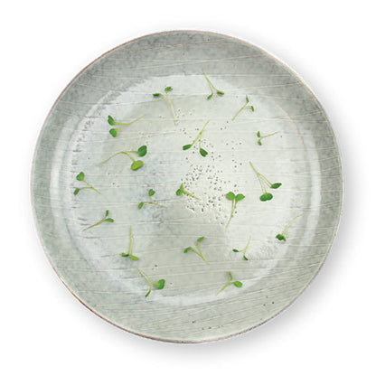 Wholesale Flavour Fields Asian Mix Micro Greens 4oz- Bulk