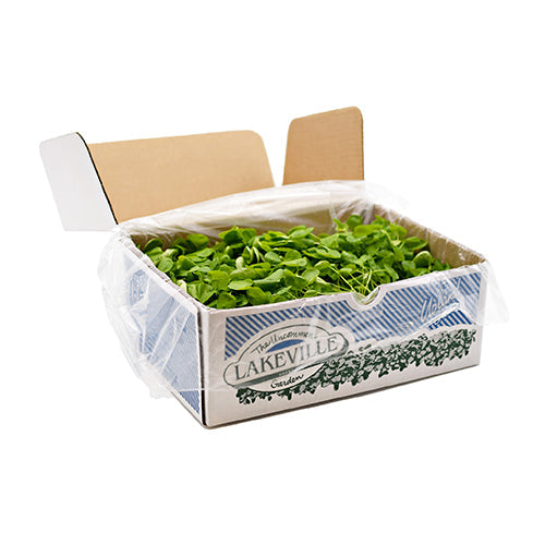 Wholesale Lakeville Specialty Hydroponic Upland Greens, Local- Bulk