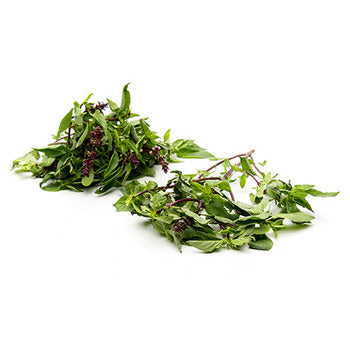 Wholesale Dix Farms Thai Basil 4oz- Bulk