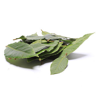 Wholesale Dix Farms Fresh Bay Leaves 4oz- Bulk