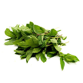 Wholesale Dix Farms Fresh Mint- Bulk