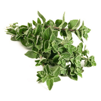 Wholesale Dix Farms Oregano 4oz- Bulk