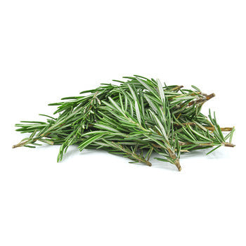 Wholesale Dix Farms Rosemary 4oz- Bulk