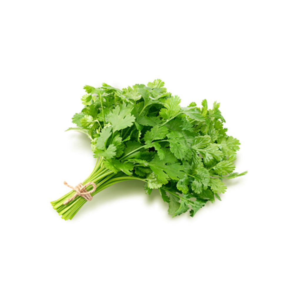 Wholesale Dix Farms Cilantro 1lb- Bulk