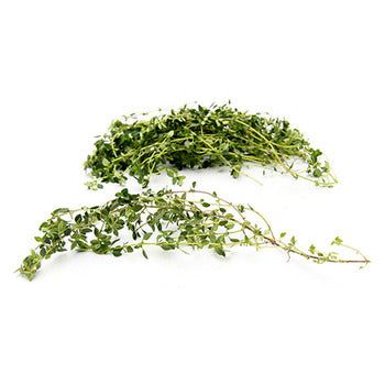 Wholesale Dix Farms Lemon Thyme 4oz- Bulk