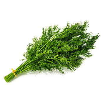 Wholesale Dix Farms Dill 4oz- Bulk