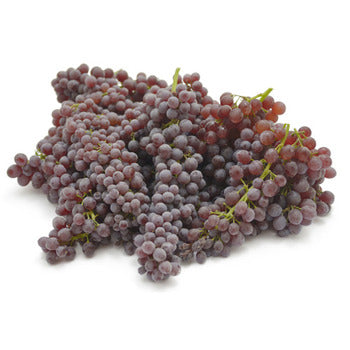 Wholesale Dix Farms Champagne Grapes 16lb- Bulk