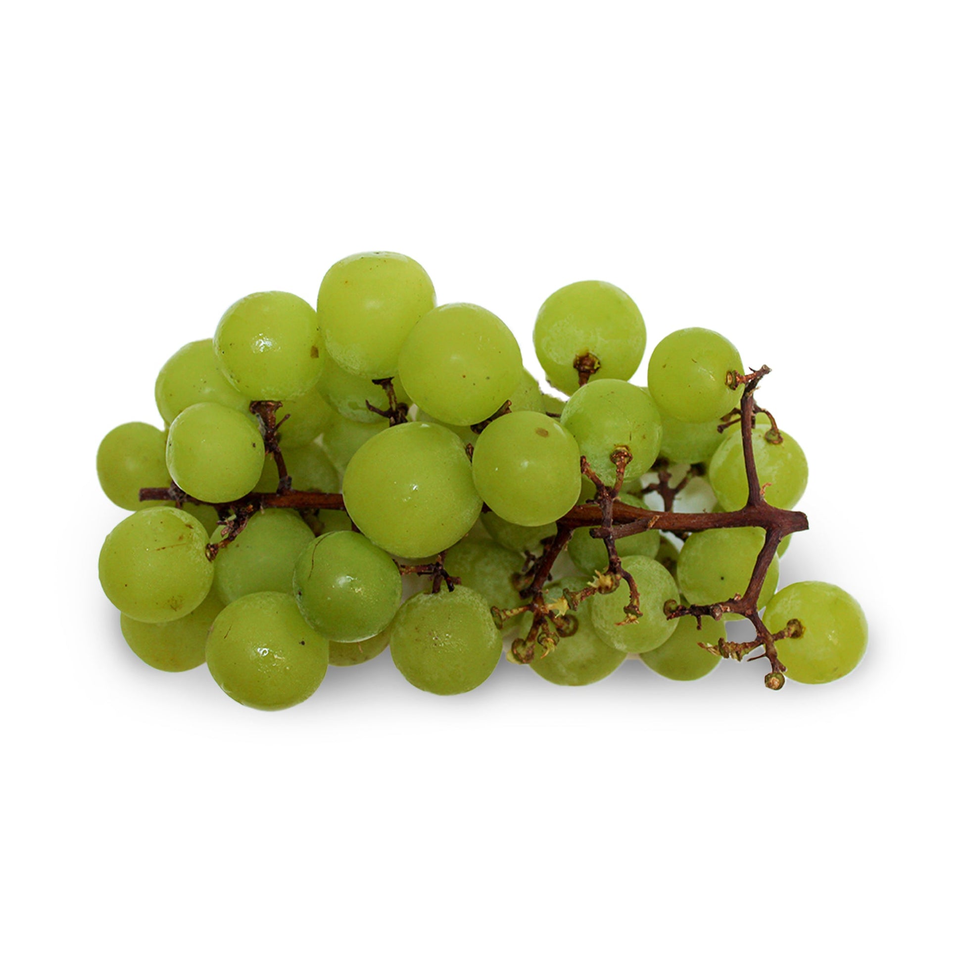Wholesale Dix Farms Fresh Grapes Cotton Candy 1.1lb- Bulk