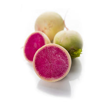Wholesale Dix Farms Watermelon Radishes 25lb- Bulk