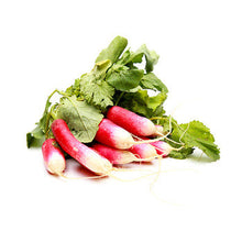 Wholesale Dix Farms Bunched French Radishes- Bulk
