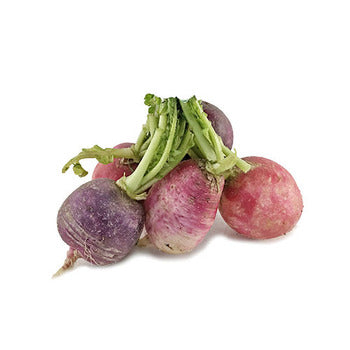 Wholesale Dix Farms Bunched Easter Egg Radishes- Bulk