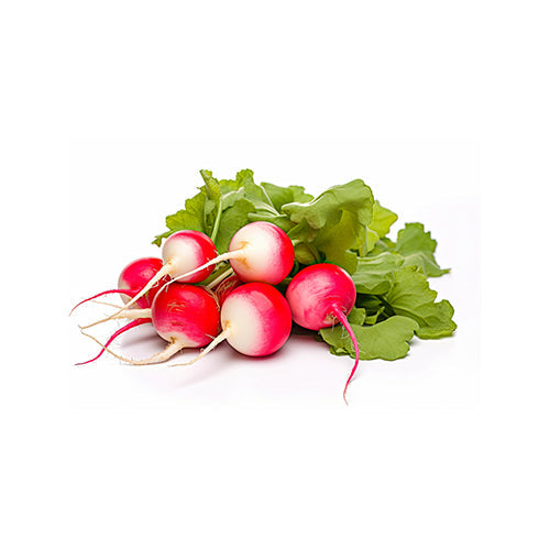 Wholesale Local Farm Bunched Easter Egg Radishes- Bulk