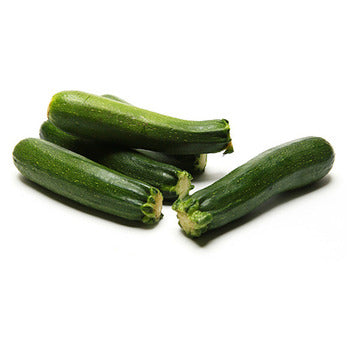 Wholesale Dix Farms Baby Zucchini Squash 5lb- Bulk