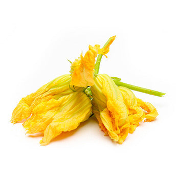 Wholesale Dix Farms Zucchini Squash Blossoms- Bulk