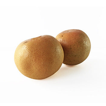 Wholesale Dix Farms Ruby Star Grapefruit- Bulk