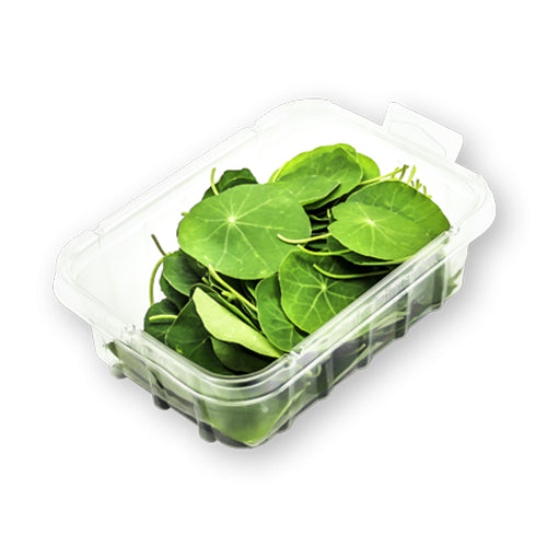 Wholesale Flavour Fields Nasturtium Leaves- Bulk