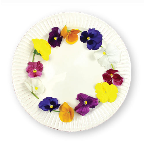 Wholesale Flavour Fields Pansy Blossoms- Bulk